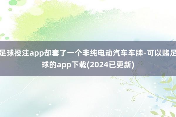 足球投注app却套了一个非纯电动汽车车牌-可以赌足球的app下载(2024已更新)